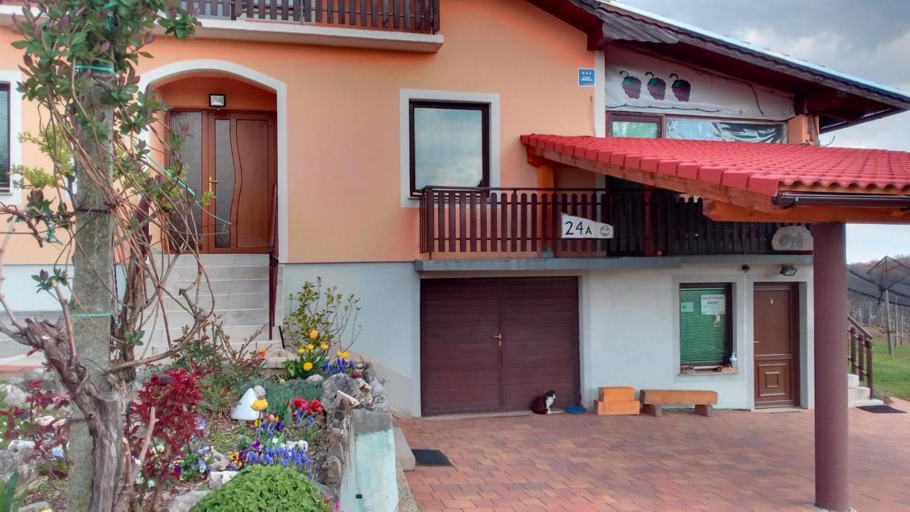 Studio Apartman Safaric Sveti Martin Na Muri Exteriér fotografie