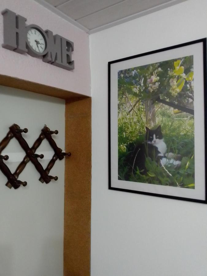Studio Apartman Safaric Sveti Martin Na Muri Exteriér fotografie