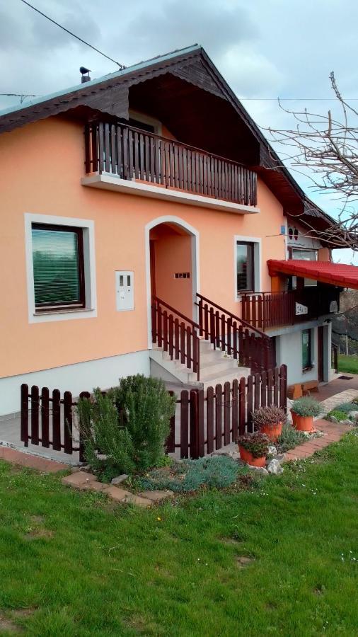 Studio Apartman Safaric Sveti Martin Na Muri Exteriér fotografie